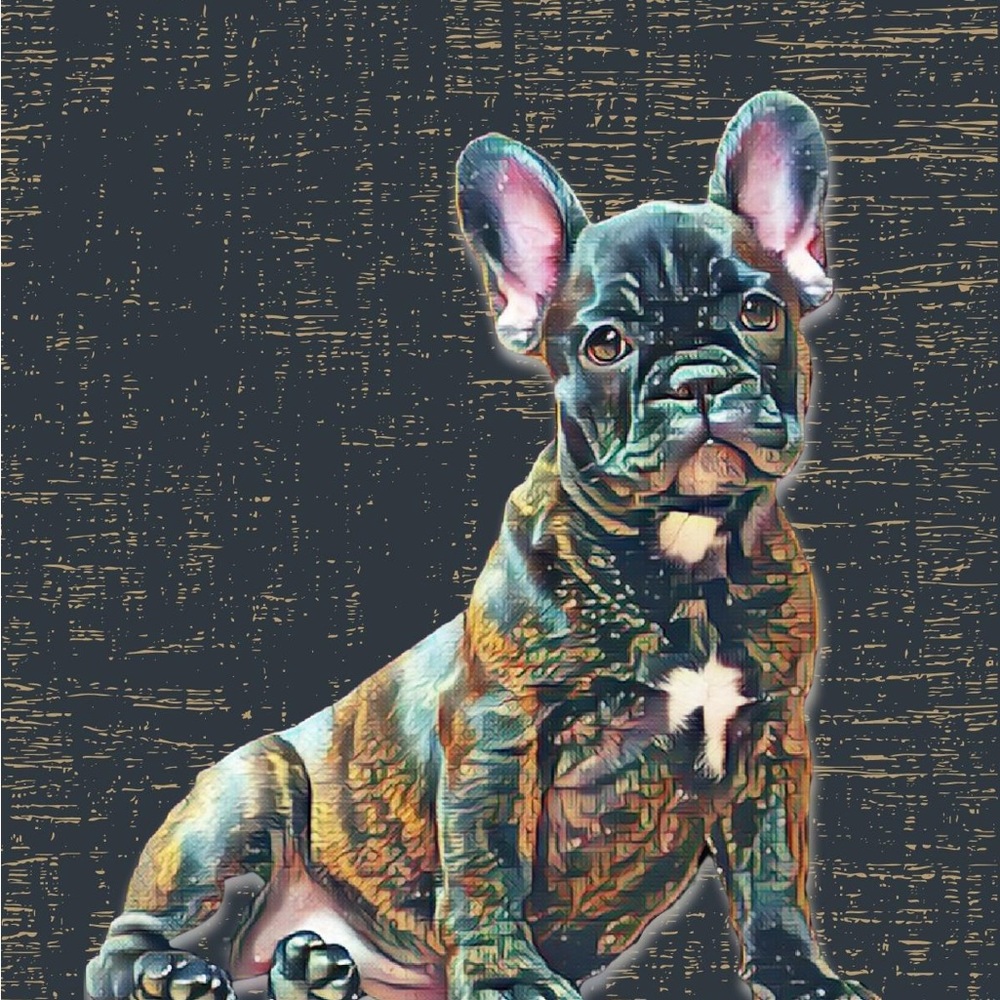 Black  - Vintage Style - French Bulldog Portrait Print - Unique Gift
